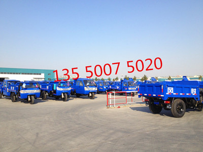 成都時(shí)風(fēng)電啟動(dòng)柴油三輪車 簡易棚載重三輪車 拉混凝土工礦柴油三輪車