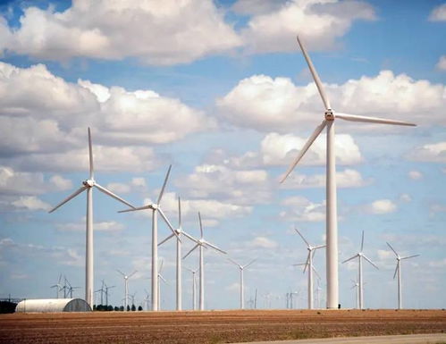 建風(fēng)機(jī)制造廠 簽全球最大儲(chǔ)能項(xiàng)目,中企助力沙特發(fā)展清潔能源