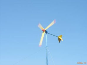 800w風(fēng)力發(fā)電機(jī)