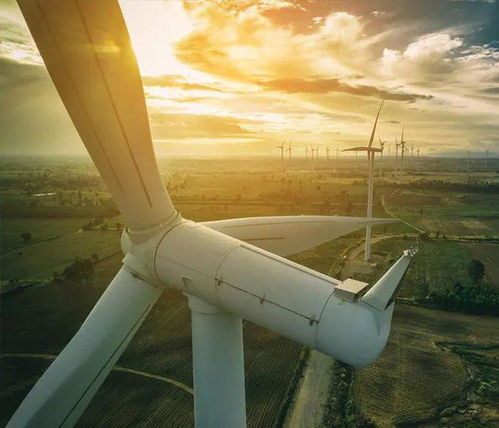 風力發電 清潔能源的潛力與挑戰